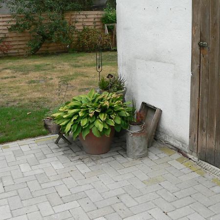 Ferienhaus Zum Gruenen Holz Zetel ภายนอก รูปภาพ